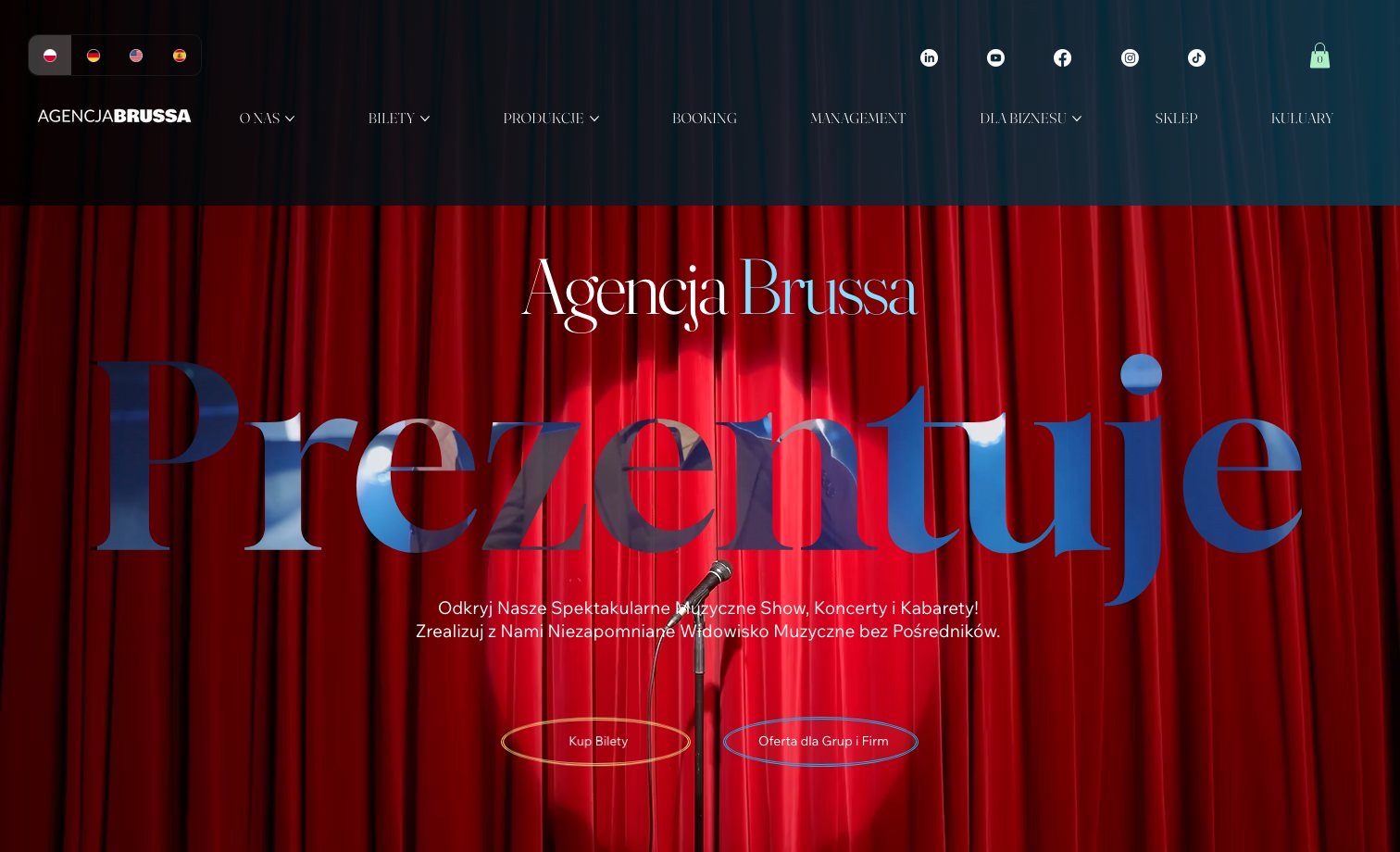 Agencja Brussa homepage preview