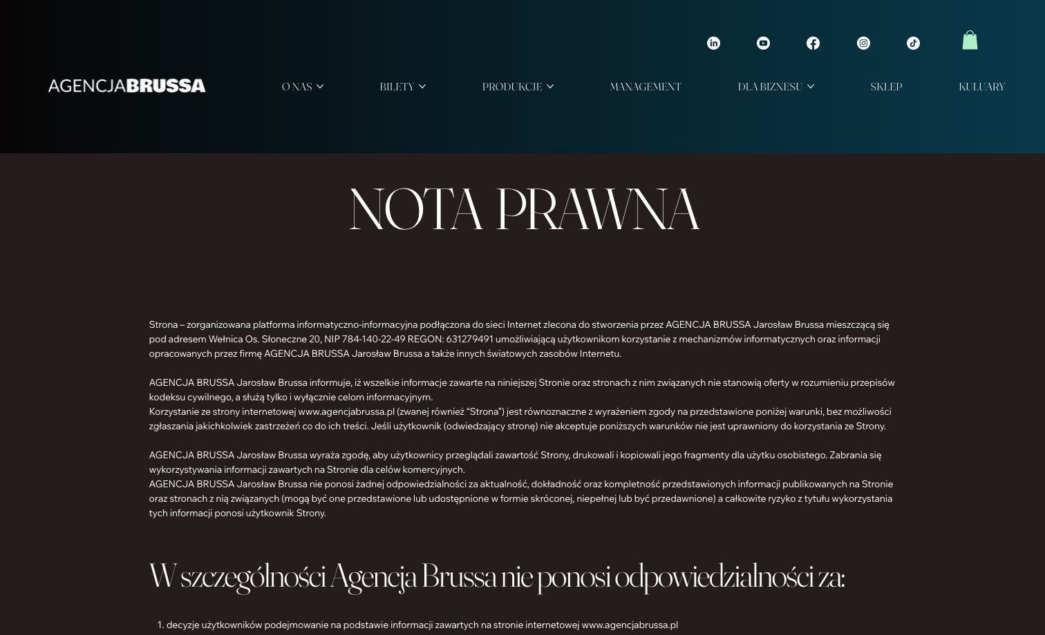 Agencja Brussa homepage preview